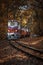 Budapest, Hungary - Children`s locomotive on the S curve track in the Hungarian woods of Huvosvolgy