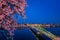 Budapest, Hungary - Illuminated Liberty Bridge over River Danube at dusk with cherry blossom tree at foreground