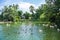 BUDAPEST, HUNGARY - JULY 26, 2016: A pond with pelicans and other species of water birds at Budapest Zoo and Botanical Garden