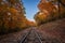 Budapest, Hungary - Train tracks in the autum woods of Huvosvolgy