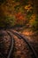 Budapest, Hungary - Train tracks in the autum woods of Huvosvolgy with beautiful colorful foliage