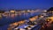 BUDAPEST PANORAMIC VIEW AT BLUEHOUR