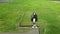 Budavegur, Western Iceland. Aerial view of famous black church of Budir