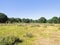 Budby Nature Reserve, Sherwood Forest, Nottingham