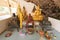 Budda statue in Tiger Cave Temple Wat Tham Seua Krabi Thailand