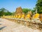 Buddha in Ancient Ayutthaya