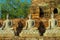 Buddha ancient statue in Autthaya Historical Park in Thailand