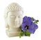 Buddha and Blue Hibiscus flower heads