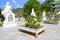 Buddha and Bonsai at Danang Da Nang Linh Ung Temple, A Traditional Buddhist temple. Danang is a popular tourist destination of