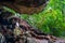 Buddha in cave, Wat Suwan Kuha temple, Thailand