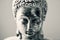 The buddha in duotone