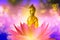 Buddha figure in lotus flower on bright background, bokeh effect