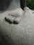 Buddha foot made of stone - stone figure