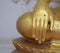 Buddha hand Image