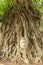 Buddha head in Bo tree root (UNESCO World heritage )