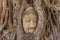 Buddha head embedded in a Banyan Tree in Ayutthaya, Thailand