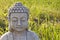 Buddha head on sunny meadow background.