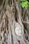 Buddha Head in Tree Roots