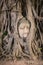 Buddha Head Tree Wat Maha That (Ayutthaya)