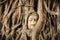 Buddha Head Tree Wat Maha That Ayutthaya. buddha statue trapped in Bodhi Tree roots. Ayutthaya historical park