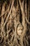 Buddha Head Tree Wat Maha That Ayutthaya. buddha statue trapped in Bodhi Tree roots. Ayutthaya historical park