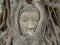 Buddha head, Wat Maha That temple, Ayutthaya, Thailand