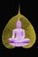 Buddha image and pipal leaf are Buddhist symbol