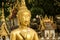 Buddha image in Wat Si Muang or Simuong is a Buddhist temple located in Vientiane, the capital of Laos