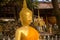 Buddha image in Wat Si Muang or Simuong is a Buddhist temple located in Vientiane, the capital of Laos