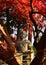 Buddha meditating under autumn leaves, Kyoto Japan.