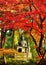 Buddha meditating under autumn leaves, Kyoto Japan.