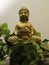 BUDDHA, meditation, peace, prayer,