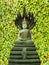 Buddha Naga yellow clover background