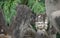 Buddha Park - Vientiane, Laos