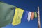 Buddha prayer flags