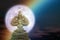 Buddha protected by hood of mythical king naga on night sky and moon