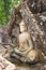 Buddha rock carving in Udonthani,Thailand