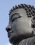 Buddha\'s Head