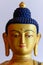 Buddha Shakyamuni Statue face portrait