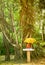 A Buddha shrine under a Bothi tree