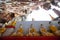 The Buddha sits in the Kaw Goon Cave in Hpa An Town, Kayin State, Myanmar. It is a natural limestone cave.