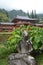 Buddha Sitting In Buddhist Temple Byodo-In