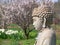Buddha: spring garden