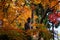 Buddha statue and autumn leaves, Kyoto Japan.