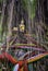 Buddha statue on banyan tree with colorful ropes