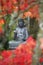 A buddha statue at batsford arboretum through red leaves