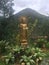 Buddha statue in buddhist garden