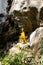 Buddha statue in cave Wat Tham Phraphut Buddhist temple in Trang