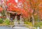 Buddha statue in Eikando Zenrinji Temple with red maple leaves or fall foliage in autumn season. Colorful trees, Kyoto, Japan.