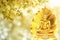 Buddha statue on the golden bodhi Leaf background